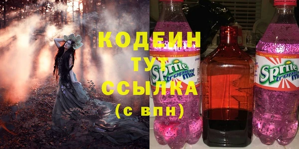 спиды Гатчина