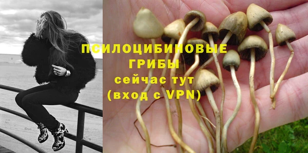героин Пестово