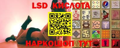 ALPHA PVP Гатчина