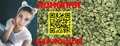 прущие грибы Гагарин