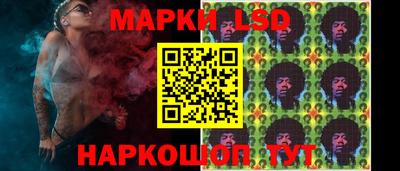ALPHA PVP Гатчина