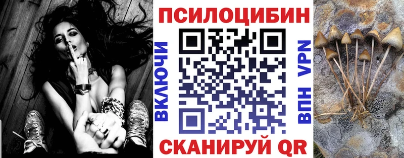 KRAKEN ссылки  Кубинка  Галлюциногенные грибы GOLDEN TEACHER 