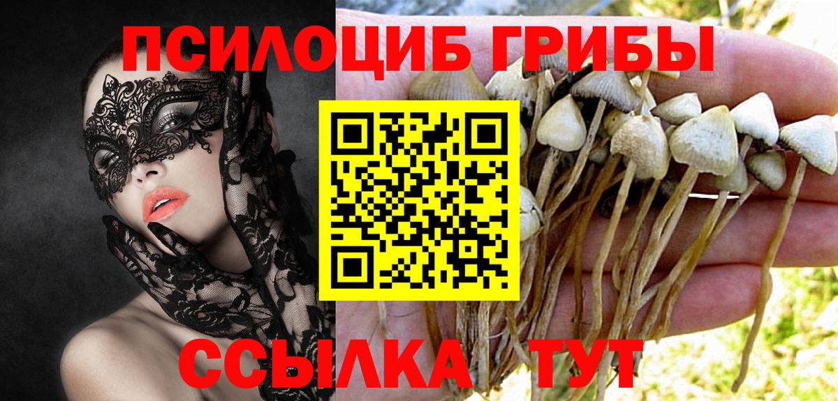 Псилоцибиновые грибы мицелий  даркнет сайт  Псилоцибиновые грибы MAGIC MUSHROOMS  Кубинка 