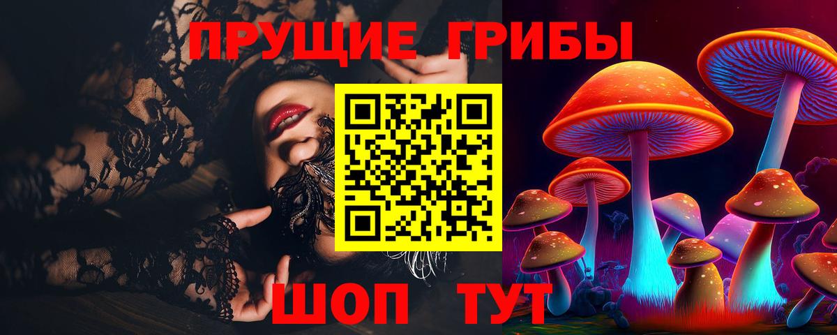 Псилоцибиновые грибы мухоморы  Галлюциногенные грибы Psilocybine cubensis  Кубинка  Вход с VPN 